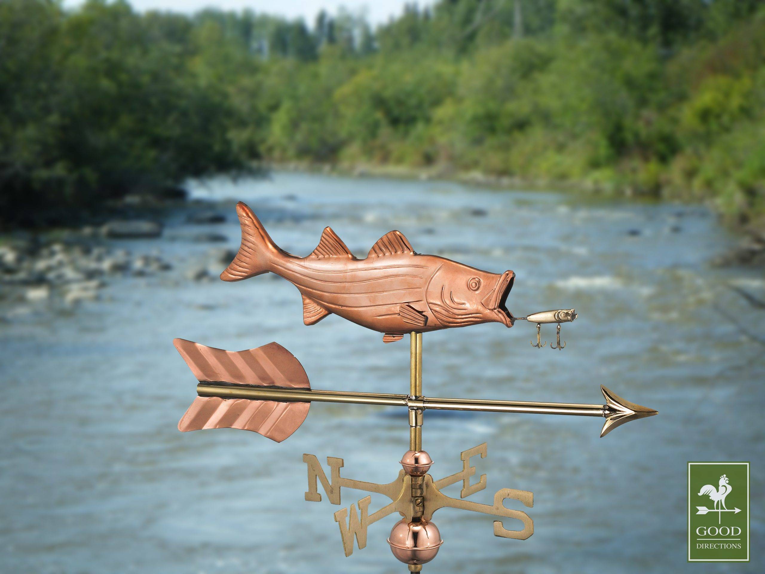 Cottage Bass with Lure with Arrow