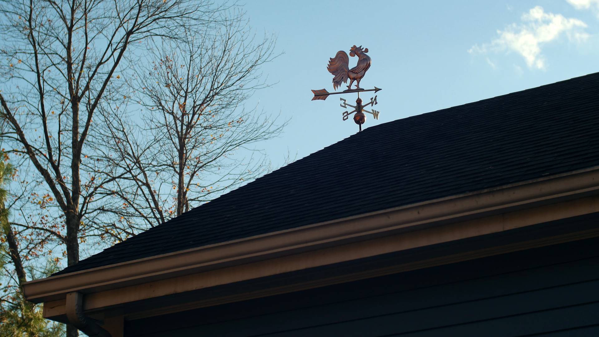 Crowing Rooster Polished Weathervane - Image 5